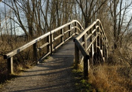 Brücke am Greamandlweiher