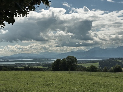 Blick von Osterhofen