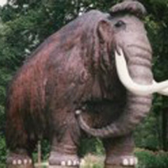 dnads-4_3f-mamut