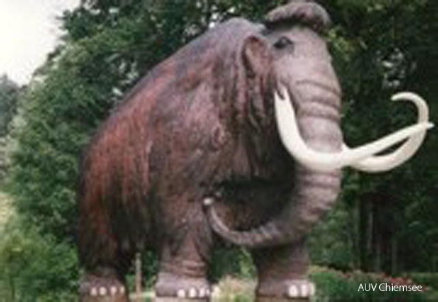 dnads-4_3f-mamut.jpg