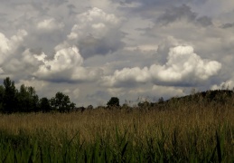 Wolkenformationen im Grabenstätter Moos