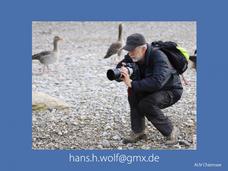 Hans Wolf  -HW-