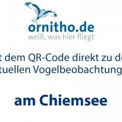 NatBeo-ornitho-QR Code-CHIEMSEE-ohne Code-2018 11 13-1140pix