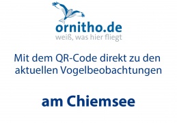 NatBeo-ornitho-QR Code-CHIEMSEE-ohne Code-2018 11 13-1140pix
