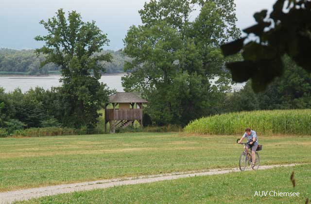 Chiemseerundweg mit Turm Hagenau