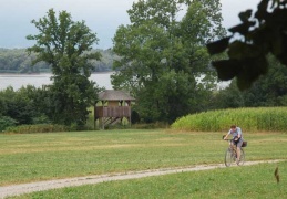 Chiemseerundweg mit Turm Hagenau