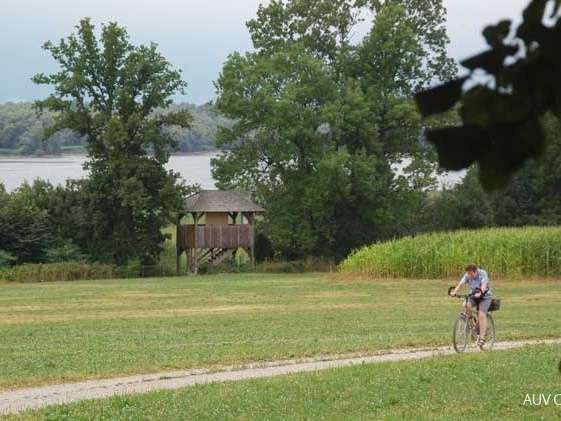 Chiemseerundweg mit Turm Hagenau