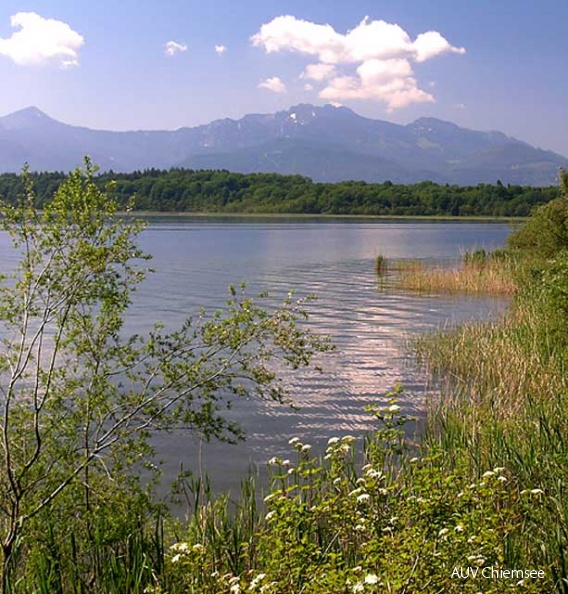 Nbs_St-jz-Turm_GZ-Aussicht.jpg