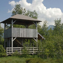 Turm Kendlmühlfilzen