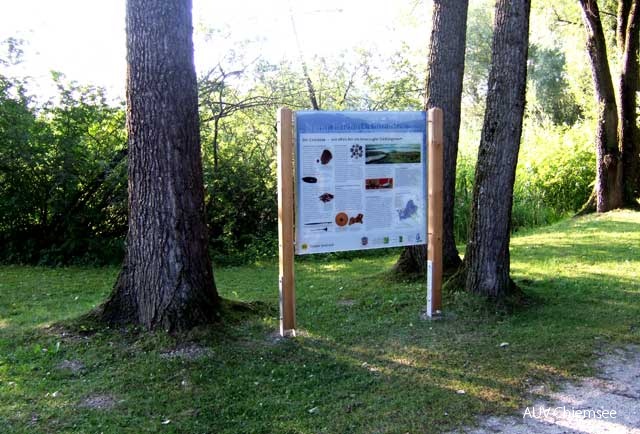 Heimatkundetafel Seebruck
In unmittelbarer Nähe vom Turm im Kurpark steht die Informationstafel, die Sie über die Heimat- und Besiedelungsgeschichte informiert.
SB - Station Seebruck / Foto: Claus Linke
Nbs_Ta-cl-Tafel_SB-DSCF0161.jpg