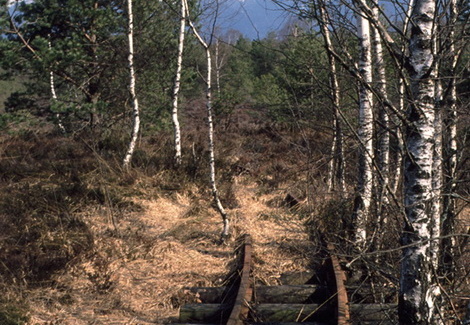 Torfbahn