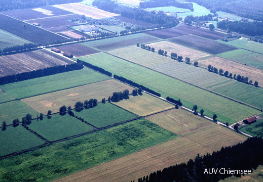 Die Hochmoore