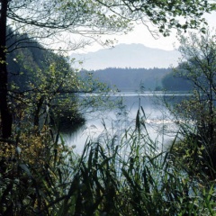 Langbürgner See