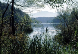 Die Eggstätter und Seeoner Seen