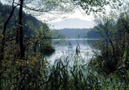 Langbürgner See