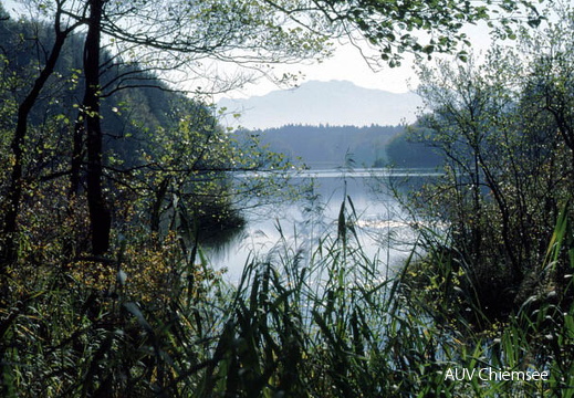 Langbürgner See
