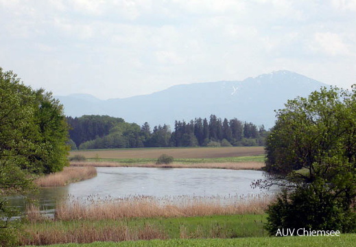 Die Alz bei Ischl