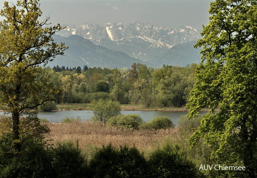 Kaiserblick