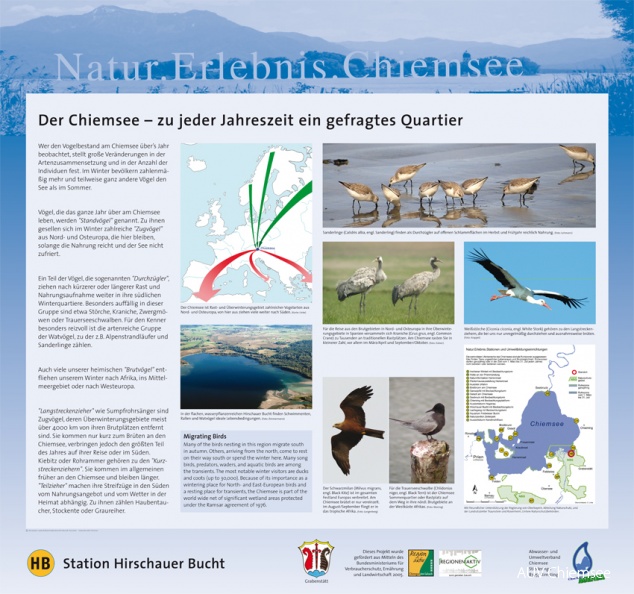 Tafel 2: Der Chiemsee – zu jeder Jahreszeit ein gefragtes Quartier
Wer den Vogelbestand am Chiemsee über’s Jahr beobachtet, stellt große Veränderungen in der Artenzusammensetzung und in der Anzahl der Individuen fest. Im Winter bevölkern zahlenmäßig mehr und teilweise ganz andere Vögel den See als im Sommer.
Mit einem Klick! zum Download der Natur- & heimatkundlichen Informationstafeln
HB - Station Hirschauer Bucht / Konzeption: Landschaftsarchitekturbüro W. Schuardt, Traunstein / Fotorechte: AZV Chiemsee gefragtes-quartier.jpg
