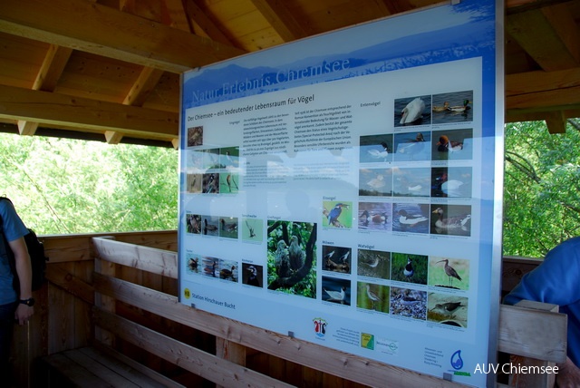 Vogeltafel am Turm