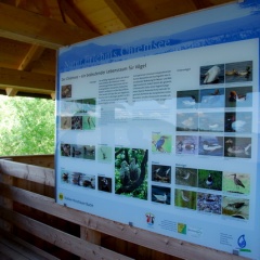 Vogeltafel am Turm