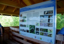 Vogeltafel am Turm