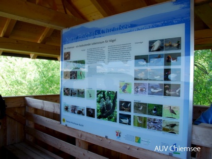 Vogeltafel am Turm