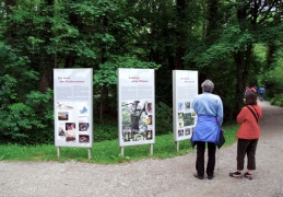 Infotafeln Herreninsel   `