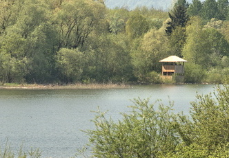 Beobachtungsturm "Hirschauer Bucht"