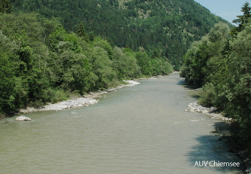 Tiroler Ache