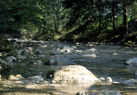 Die Prien