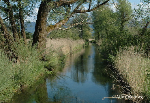 Mühlbach
