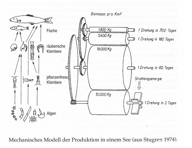 Modellzeichnung