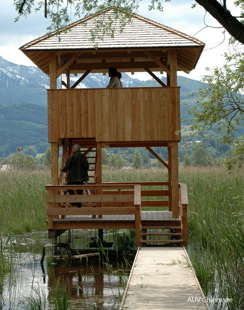 Vogelbeobachtungsturm