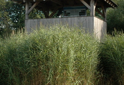 Naturbeobachtungsturm