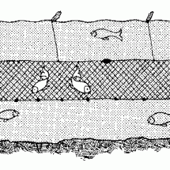 Schwebnetz