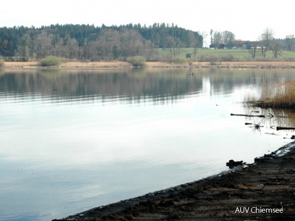 Hirschauer Bucht