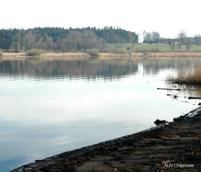 Hirschauer Bucht