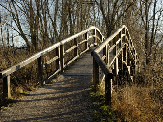 Brücke am Greamandlweiher