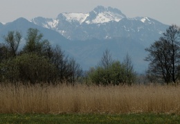 Gebirgsblick vom Uferweg bei Prien