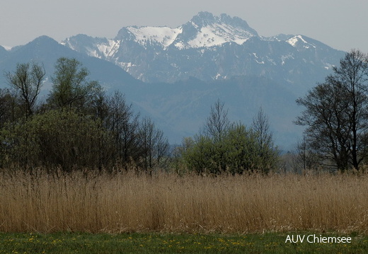 Naturspaziergang 2  —  Februar