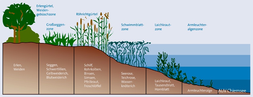 Einteilung Uferzonen