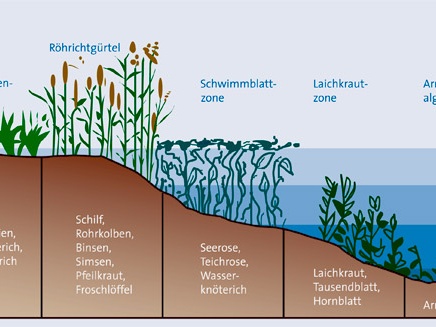 Einteilung Uferzonen