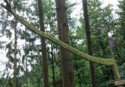 6 – Dunkle Wälder - helle Seen - display this album 6 – Dunkle Wälder - helle Seen