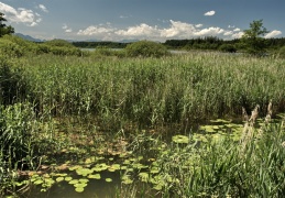 Am Hartsee