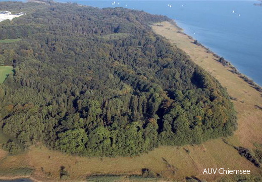 Herreninsel - Südwestufer
