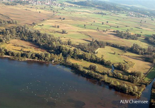 Grabenstätter Moos