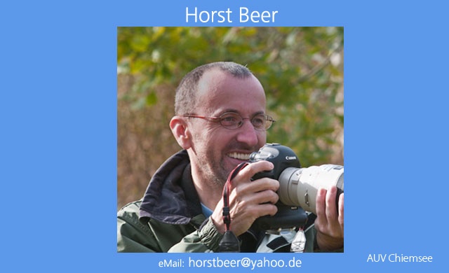 Horst Beer -HB-