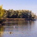 Hirschauer Bucht mit Achendelta