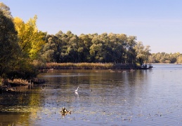 Hirschauer Bucht mit Achendelta